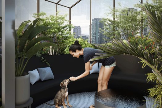 BIG King Condos in Toronto