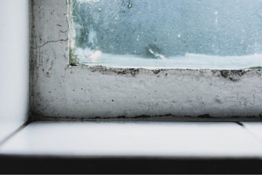 mold in condo